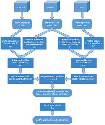 LPI-IBNRA: Long Non-coding RNA-Protein Interaction Prediction Based on Improved Bipartite Network Recommender Algorithm